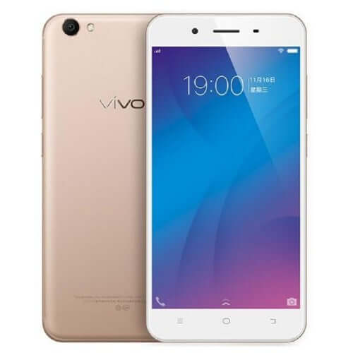 Vivo Y66 128GB 6GB RAM Crown Gold smartphone showcasing front and back design with a touchscreen display.